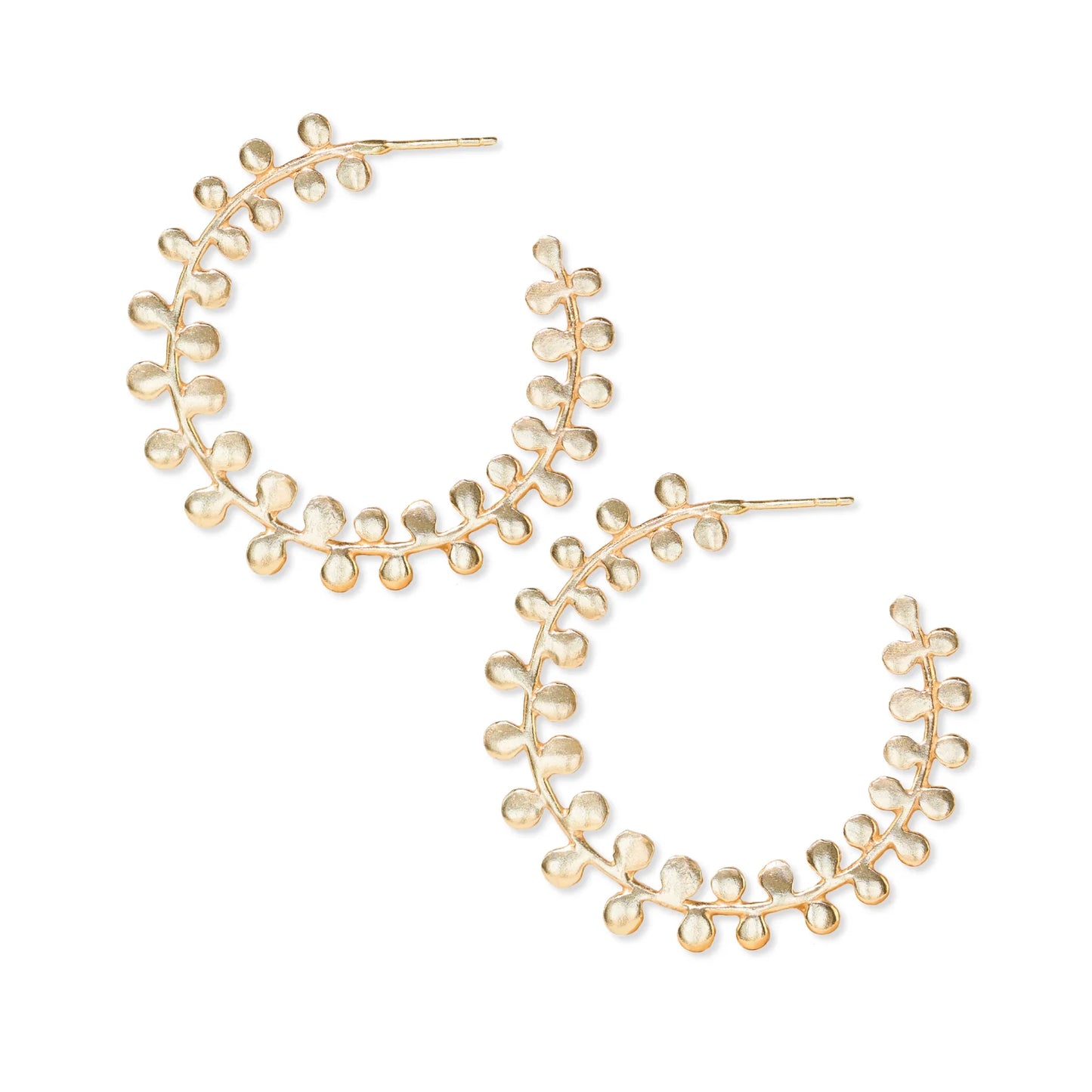 Flora Frond Hoop Brass Earrings