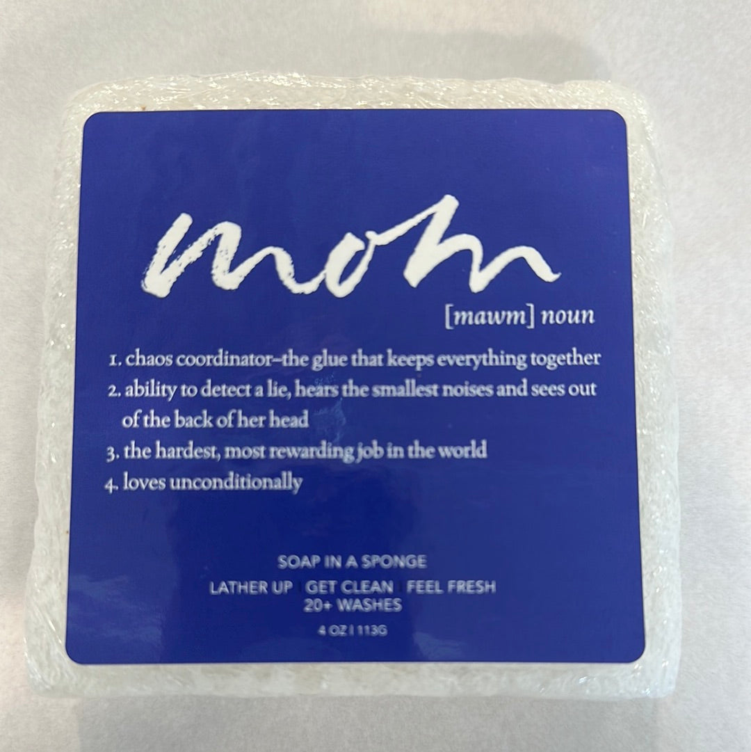 Soap in a Sponge