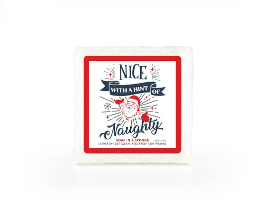 Nice With a Hint of Naughty Soap in a Square Sponge