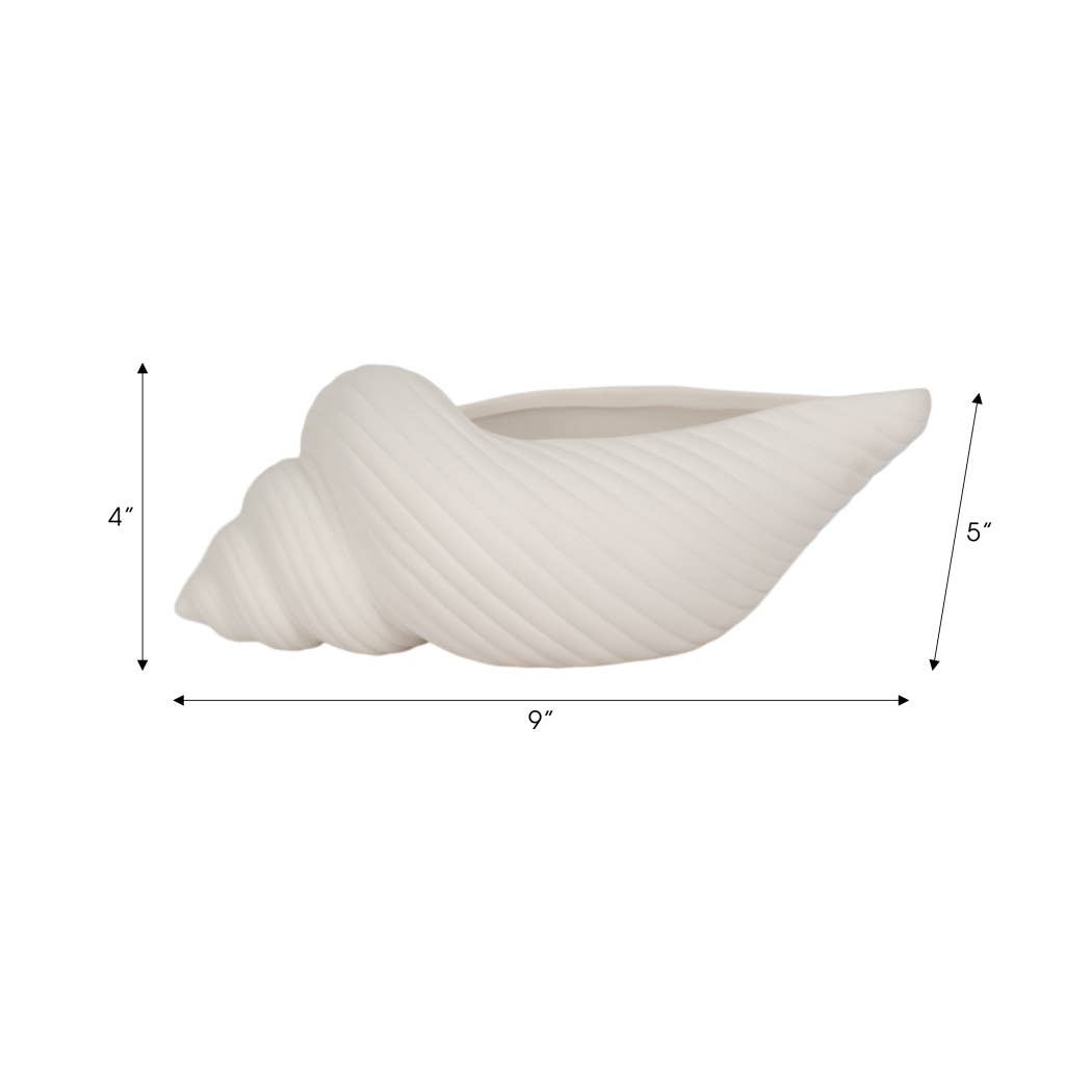 Decorative Conch Shell Planter