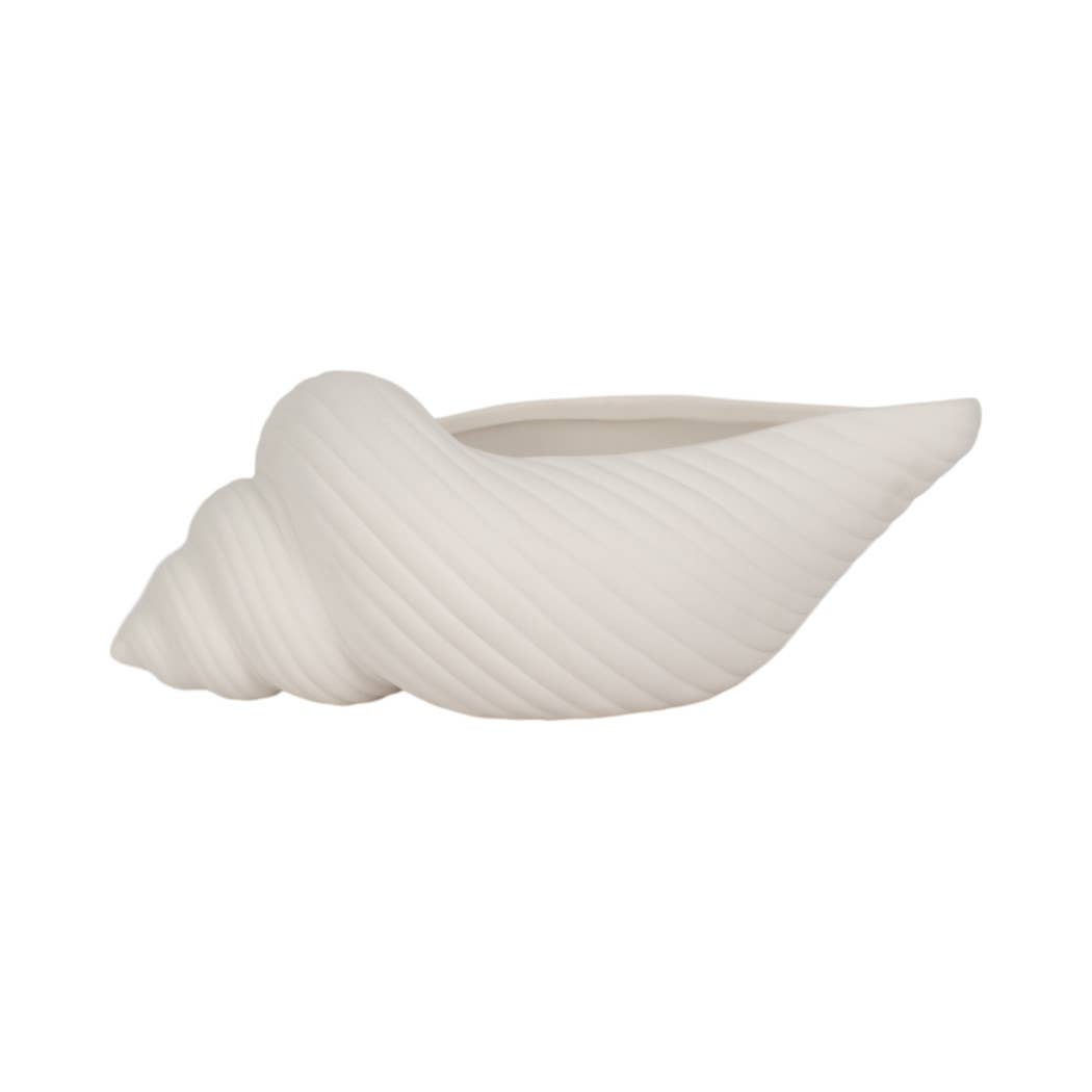 Decorative Conch Shell Planter