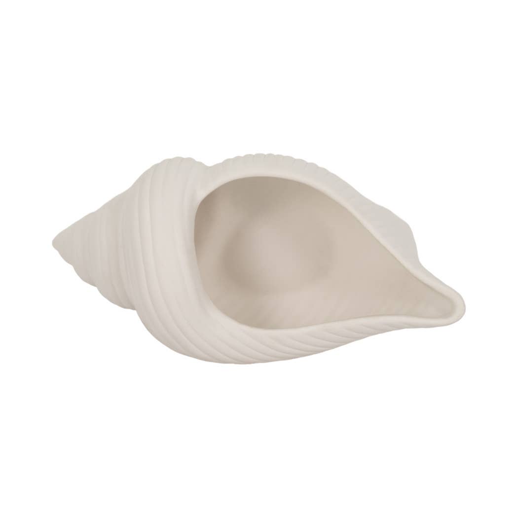 Decorative Conch Shell Planter