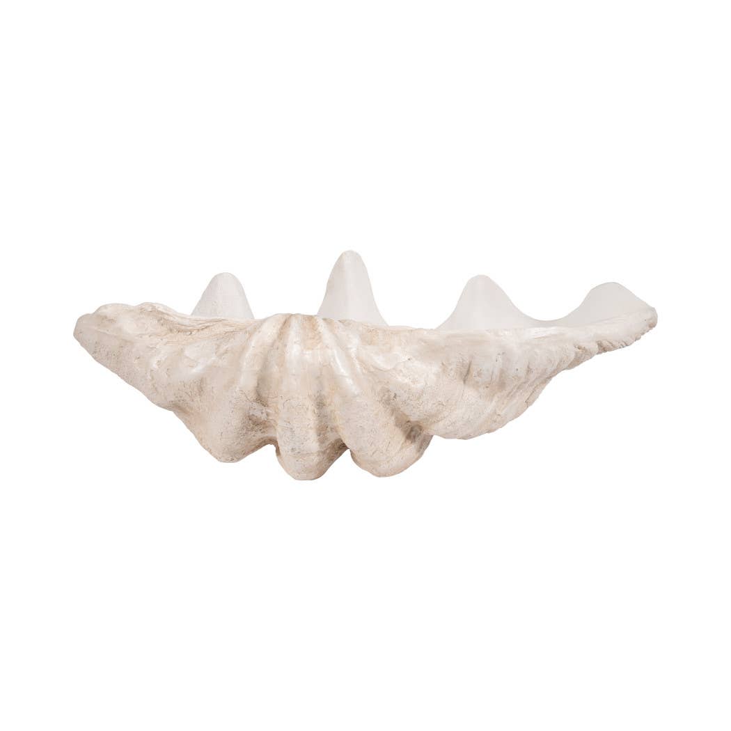 Bowl - Ivory Polyresin Pearlized Clam Shell, 25 in.