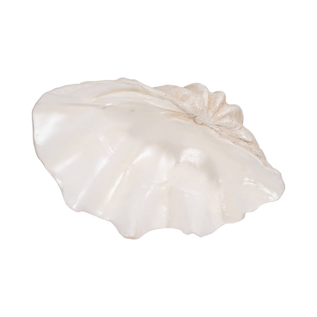 Bowl - Ivory Polyresin Pearlized Clam Shell, 25 in.