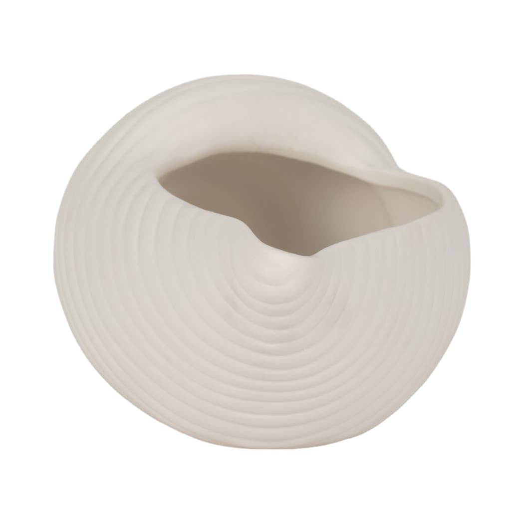 Decorative Conch Shell Planter