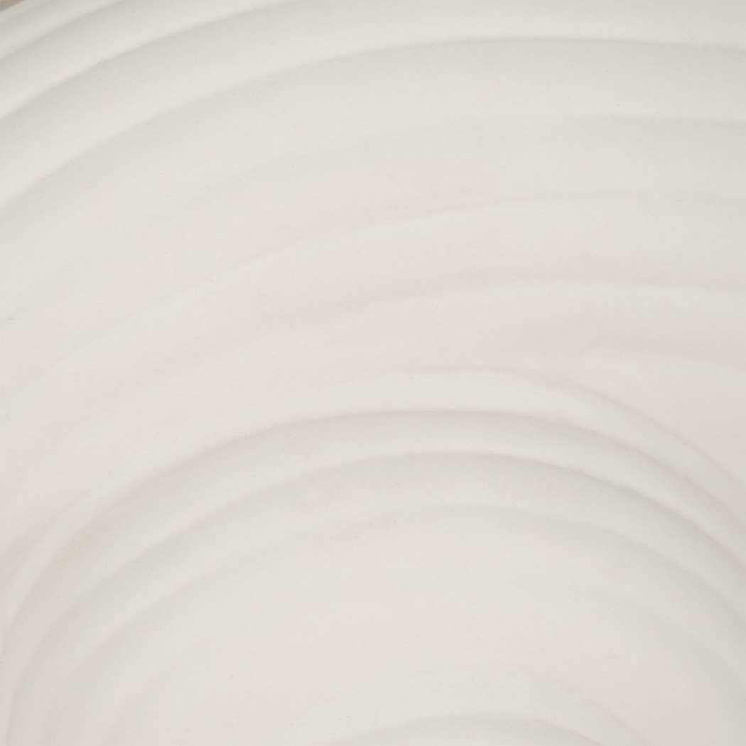 Decorative Conch Shell Planter