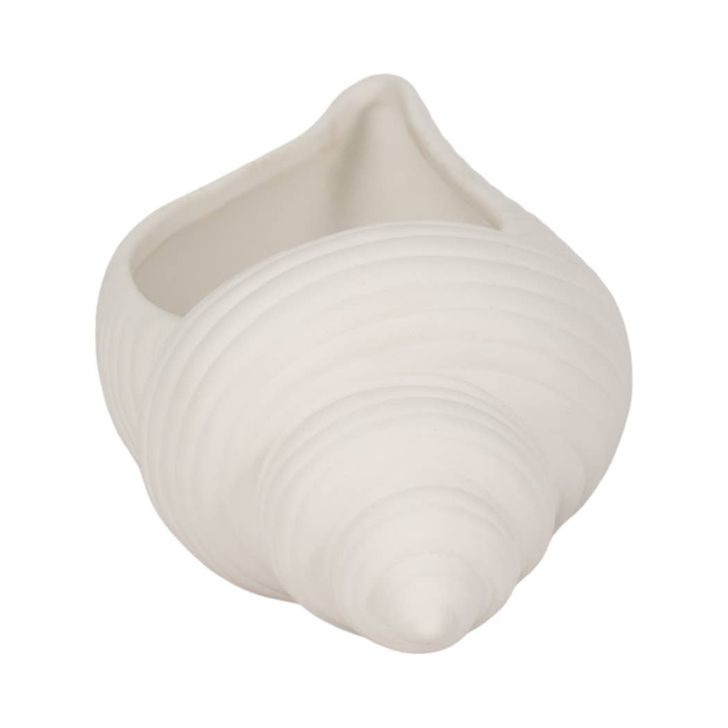 Decorative Conch Shell Planter