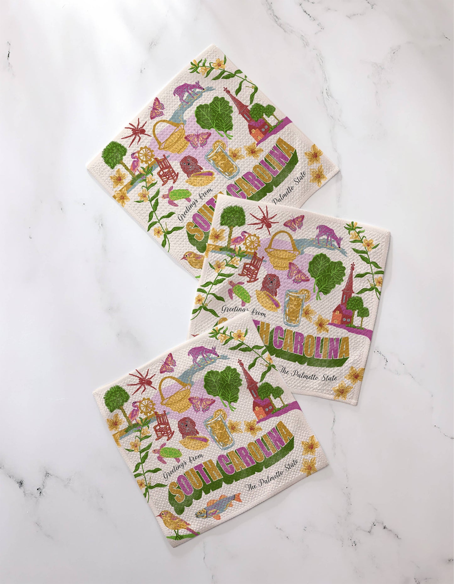 Greetings From South Carolina Dishcloth Set