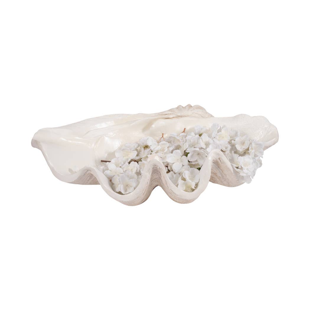 Bowl - Ivory Polyresin Pearlized Clam Shell, 25 in.