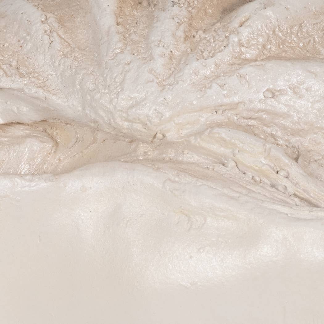 Bowl - Ivory Polyresin Pearlized Clam Shell, 25 in.