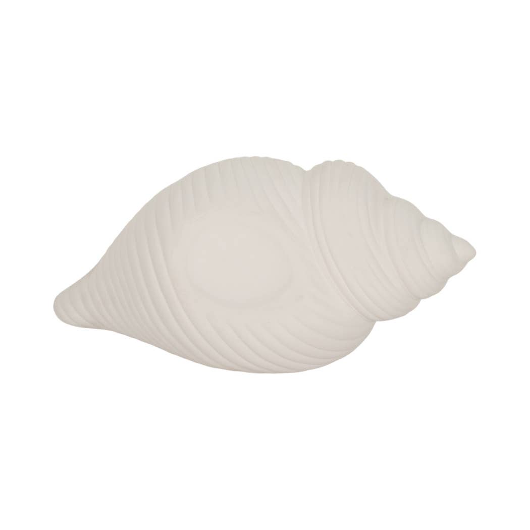 Decorative Conch Shell Planter