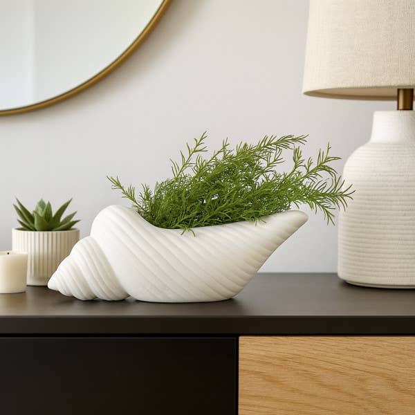 Decorative Conch Shell Planter