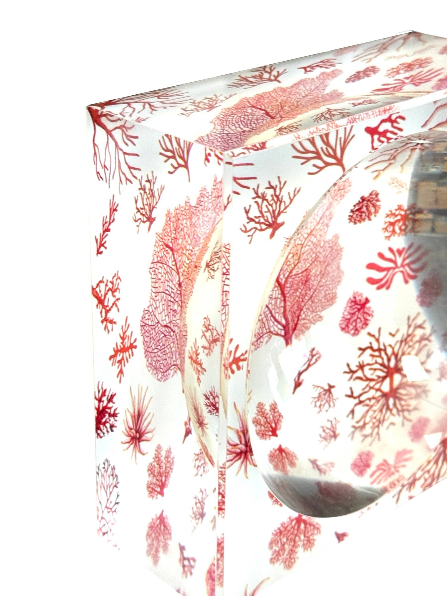 Acrylic Bowl, Aura Coral