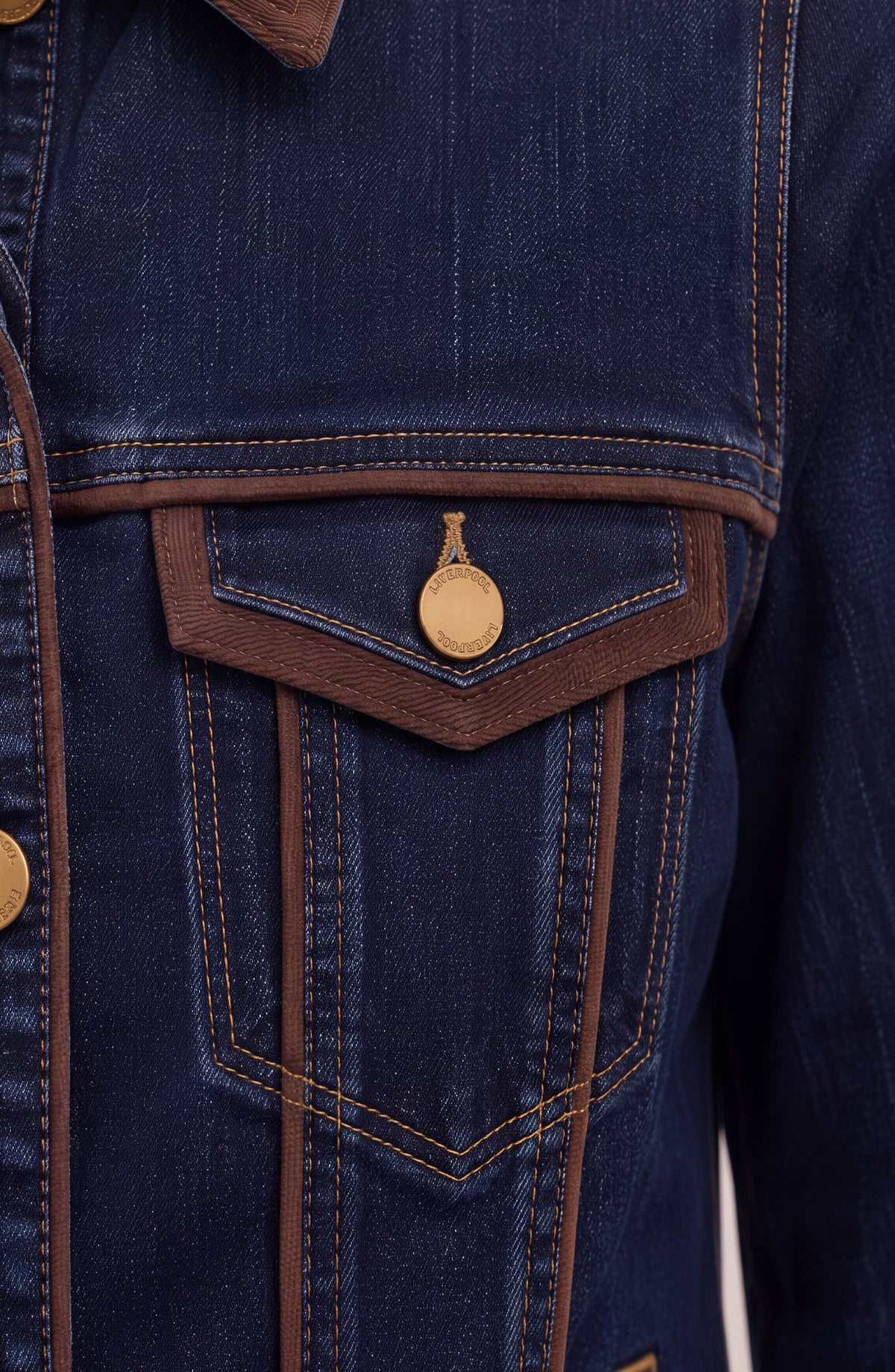 Classic Trucker Jacket Velvet Details