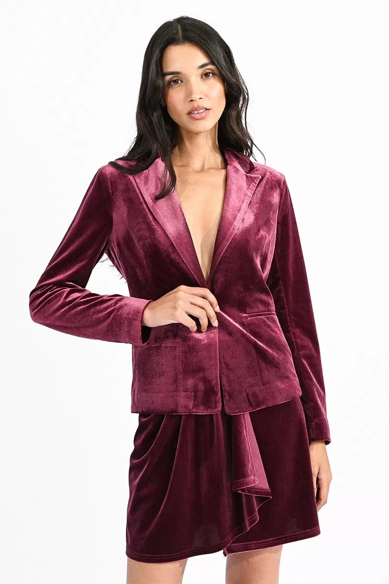 Velvet Blazer